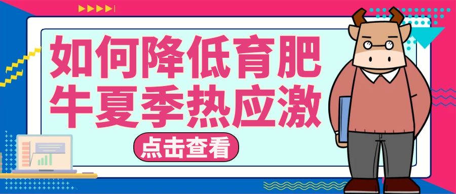 從管理和營養上教會你如何應對育肥（féi）牛夏季熱應（yīng）激